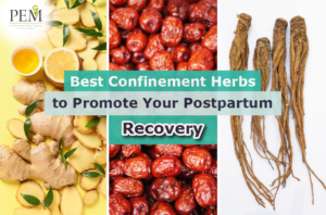 Best Confinement Herbs to Promote Your Postpartum Recovery