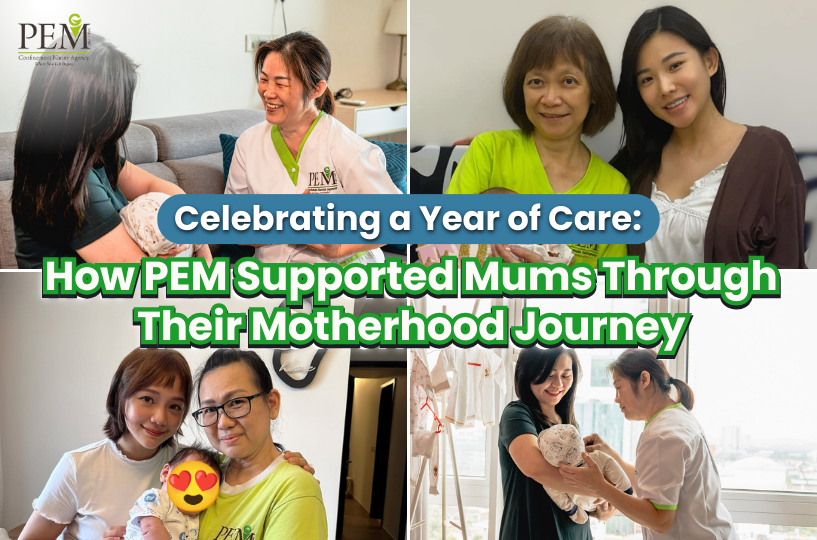 Celebrating a Year of Care How PEM Supported Mums Through Their Motherhood Journey (1)