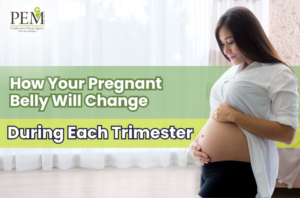 Pregnant Belly
